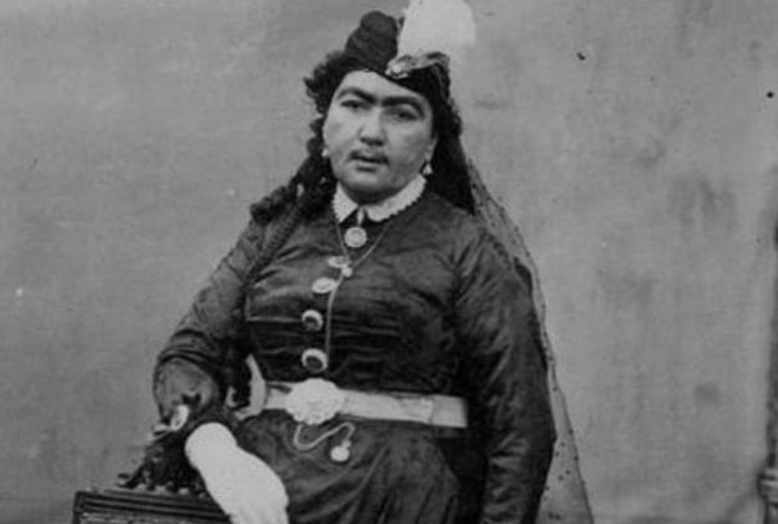 审美|审美有毒的伊朗皇帝,妃子颜值全是“乔碧萝”,遭遇全网同情