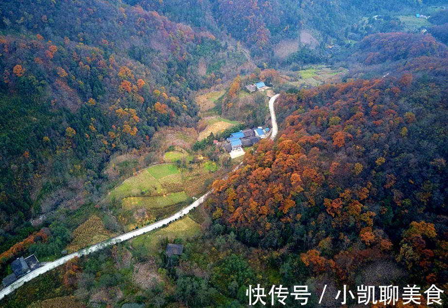 彩林|平武有座山红透了！山上这条云端上的彩林公路秋色如画