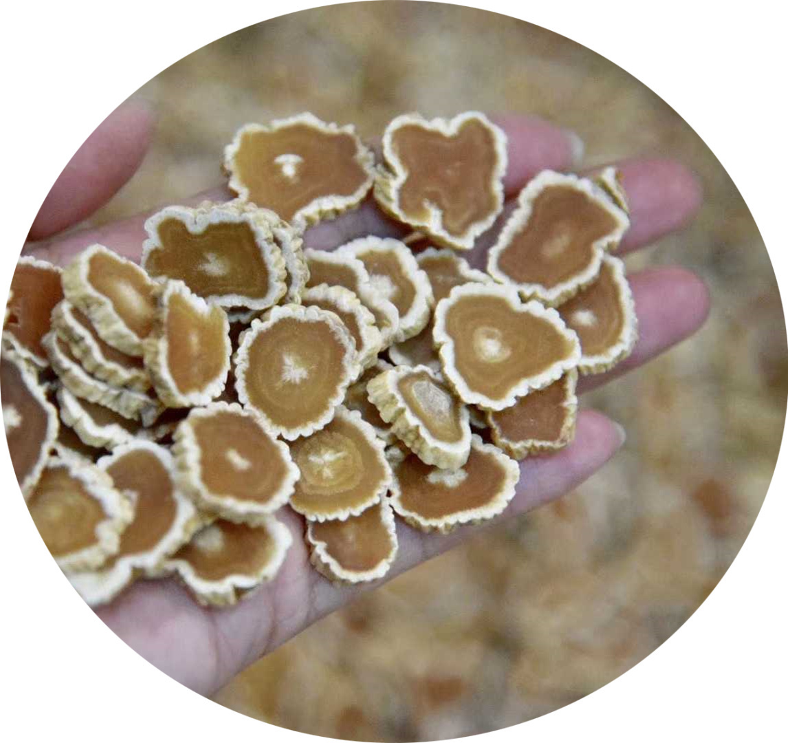 男人|肾透支“稀烂”的男人，多吃4种食物，补充雄激素，媳妇更爱你！