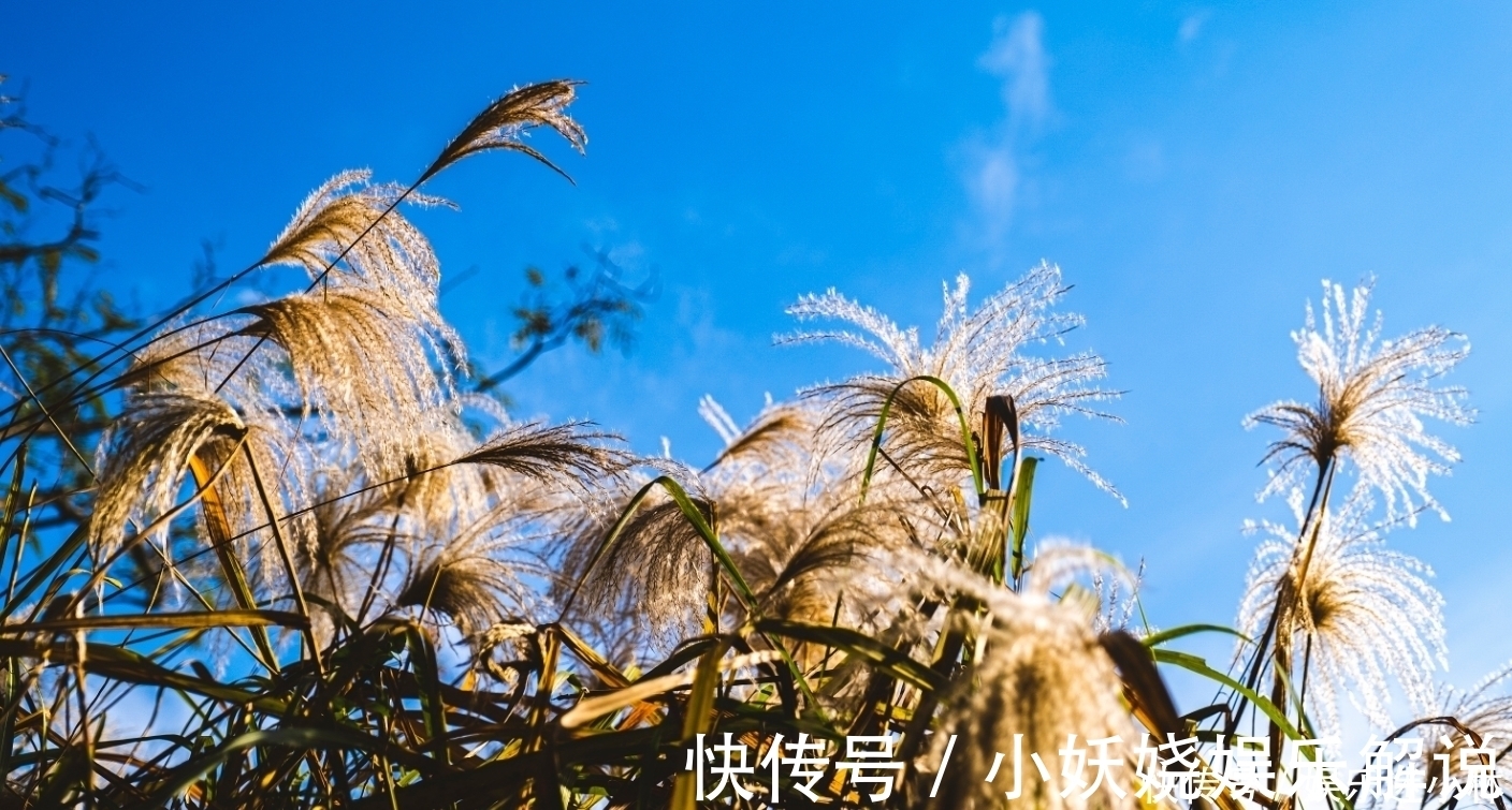 学生时代|处女座：纵使千人千面，但向来活得清醒，眼眸有星辰，心中有山海