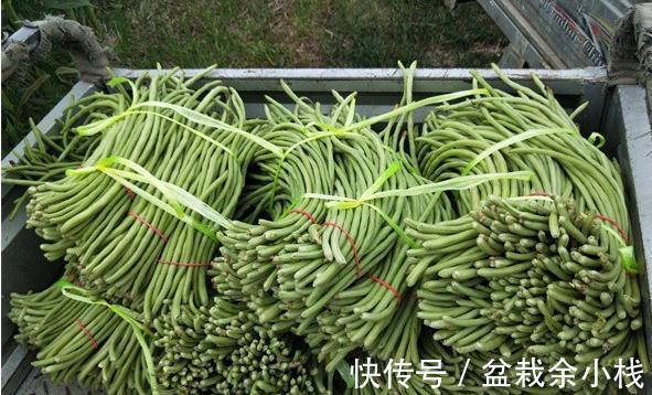 “南菜北运”缓解供应,价格却涨6倍,12元一斤直追菠菜,太疯狂