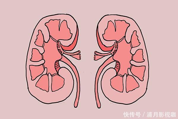 尿液中的泡沫多，是蛋白尿吗？哪些原因可能形成蛋白尿？