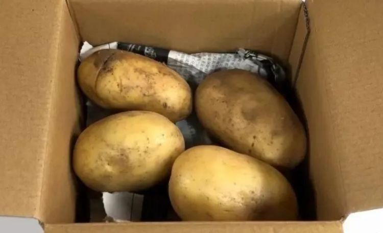 老农告诉你，黄土豆、白土豆的营养、口感区别大，买错了不好吃