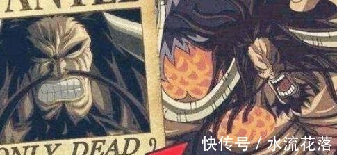 海贼|海贼王最古老的悬赏令,还是伊姆亲自下达的,然而却永远无法抓捕
