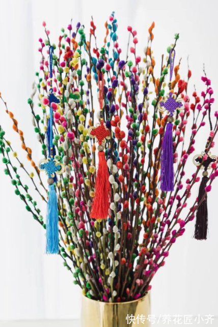 3种“吉祥花”,找个瓶子就能养,年关买寓意好,新手也能养一年