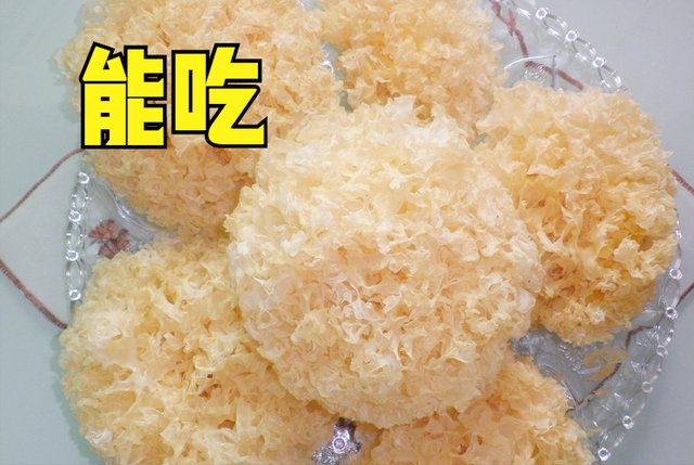 食物|“出伏三分补,贴膘正当时”,出伏后可以吃哪些食物?看看就知道