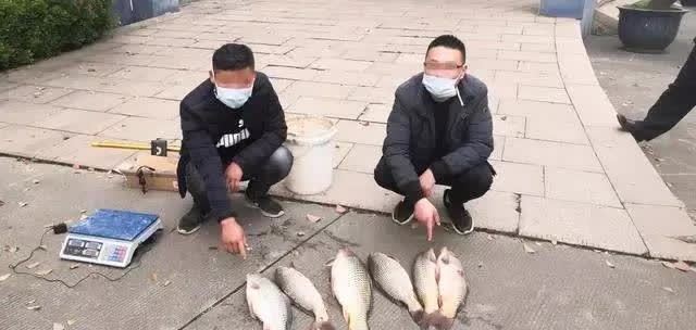 新罪名之“非法垂钓”,严重罚两万送白金手镯,合规钓才能避坑