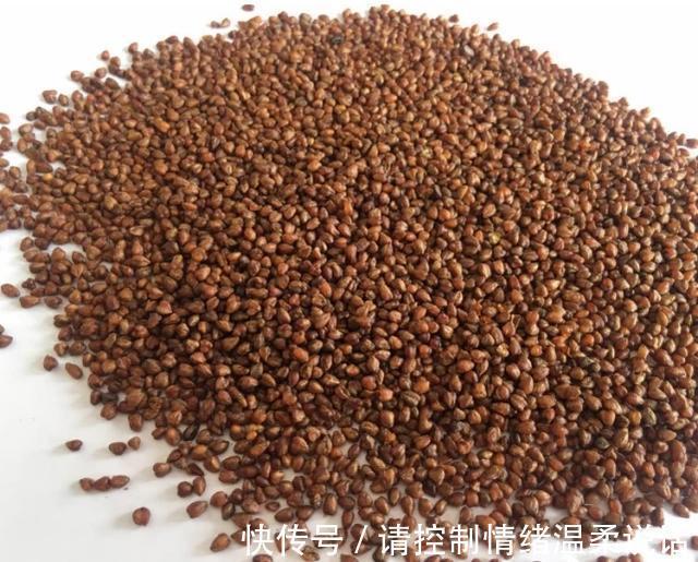 散结|天然“散结药”，女人每天吃几口，“甲状腺结节”或慢慢痊愈