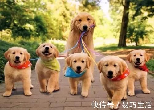 妈妈|慈母多败儿?妈妈若具备这4个特征,孩子长大都会很有出息