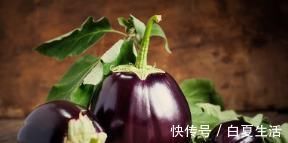 茄子|茄子最好吃的做法，不管男人女人都爱吃，一人就能吃光一大盘！