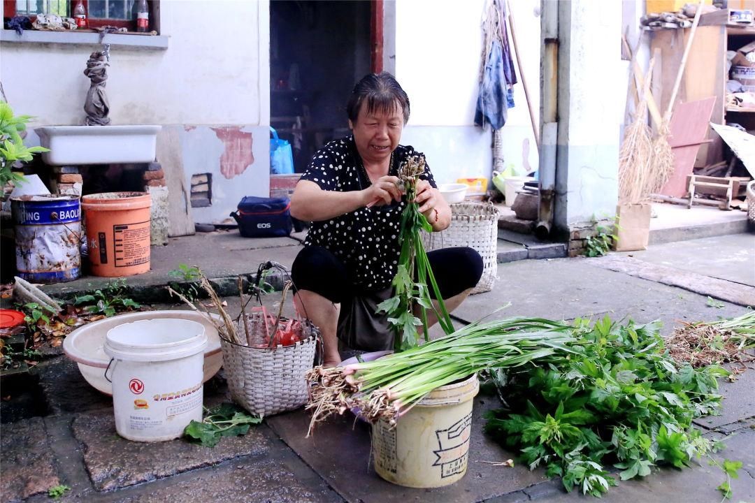 端午|端午习俗除了吃粽子,还有这个标准动作!