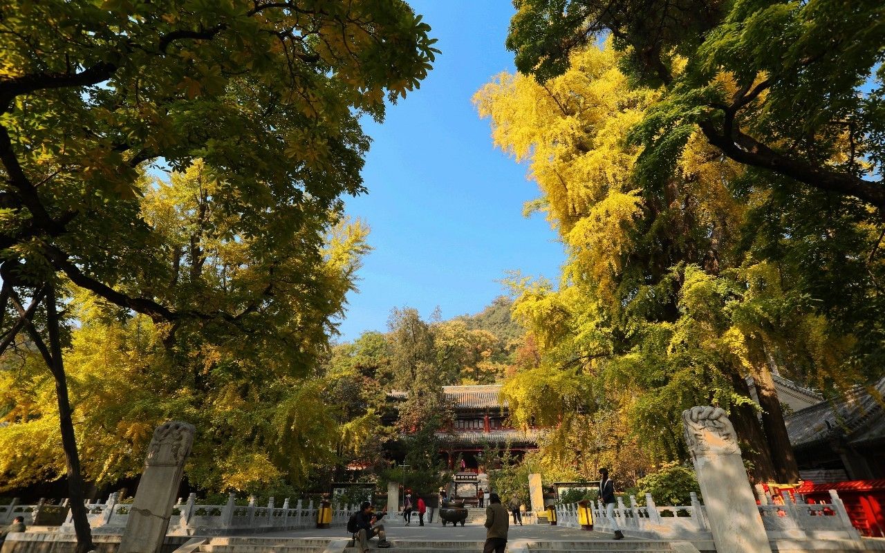 潭拓寺|京城最大皇家寺院，武警24小时把守于此，地位不一般