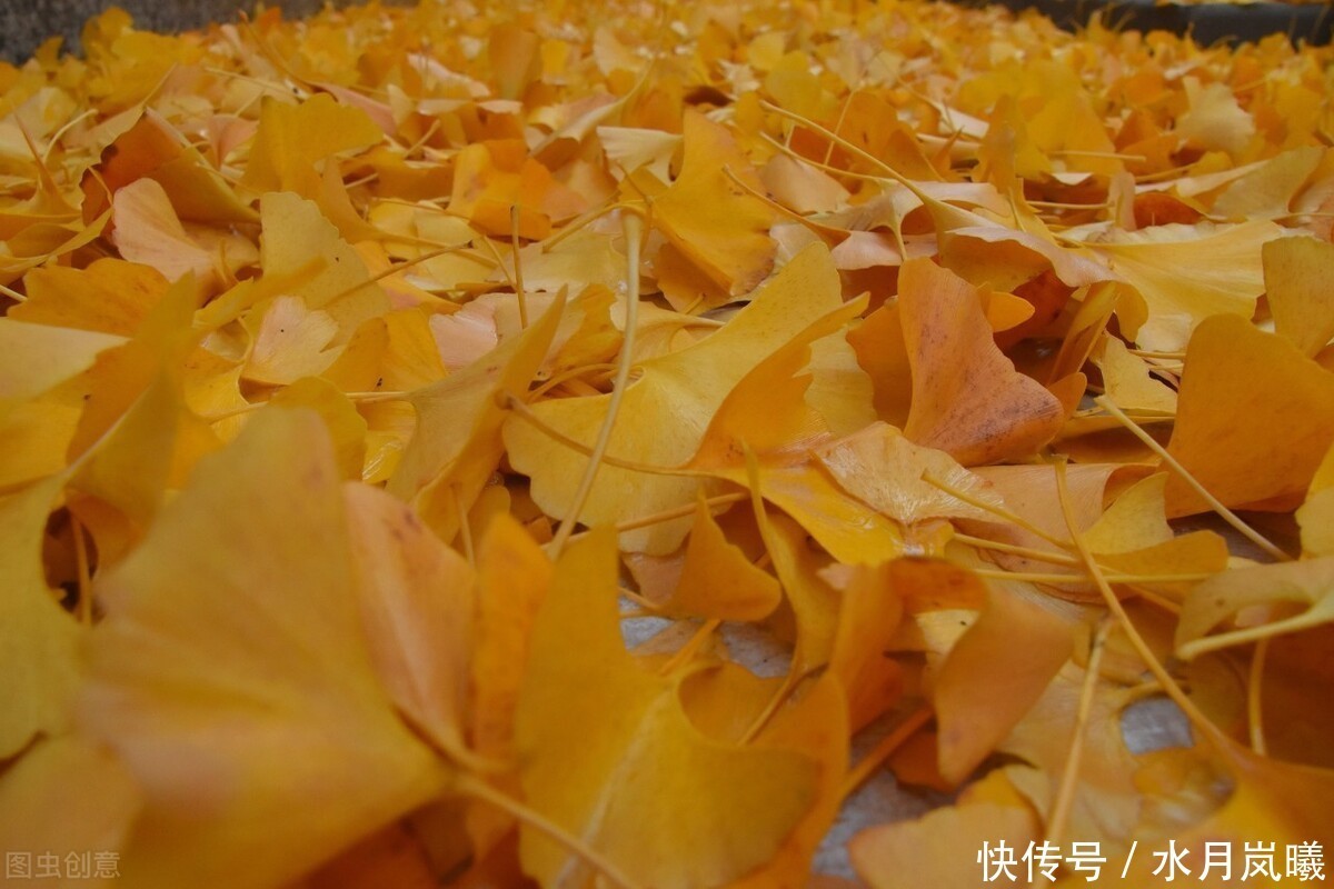 山形|过眼年华,流年轻度,人世几回伤往事,山形依旧枕寒流