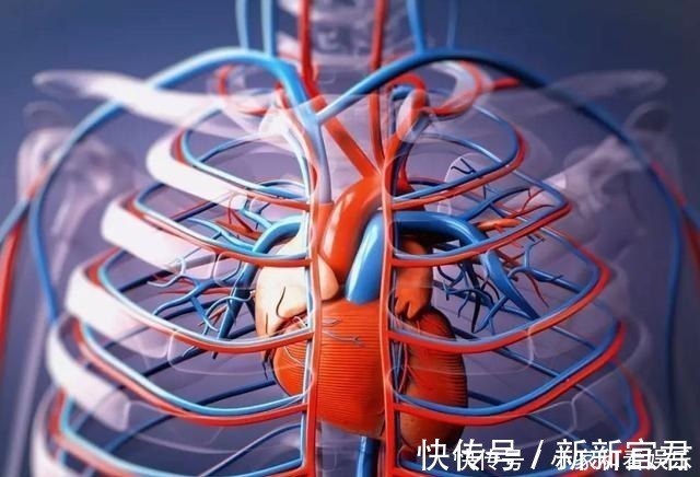 保护心脏|每天喝一两白酒，一年后身体会有什么变化？快来听听医生的回答