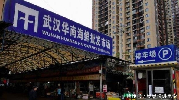 对动物|她直播分娩，引2.6亿人围观，最触目惊心的一幕还是发生了……