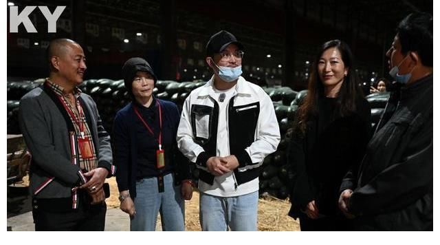 跑男|Angelbaby清晨现身蔬菜物流园《奔跑吧·黄河篇2》跑男团助农卖菜