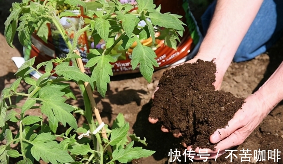 天冷抓紧时间赶制这3样养花肥，正好臭味小，方便来年开春用