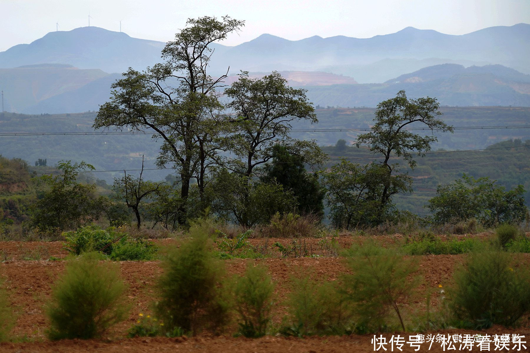 山西|山西深山发现3户人家，7旬老人自建“活人墓”，咋回事