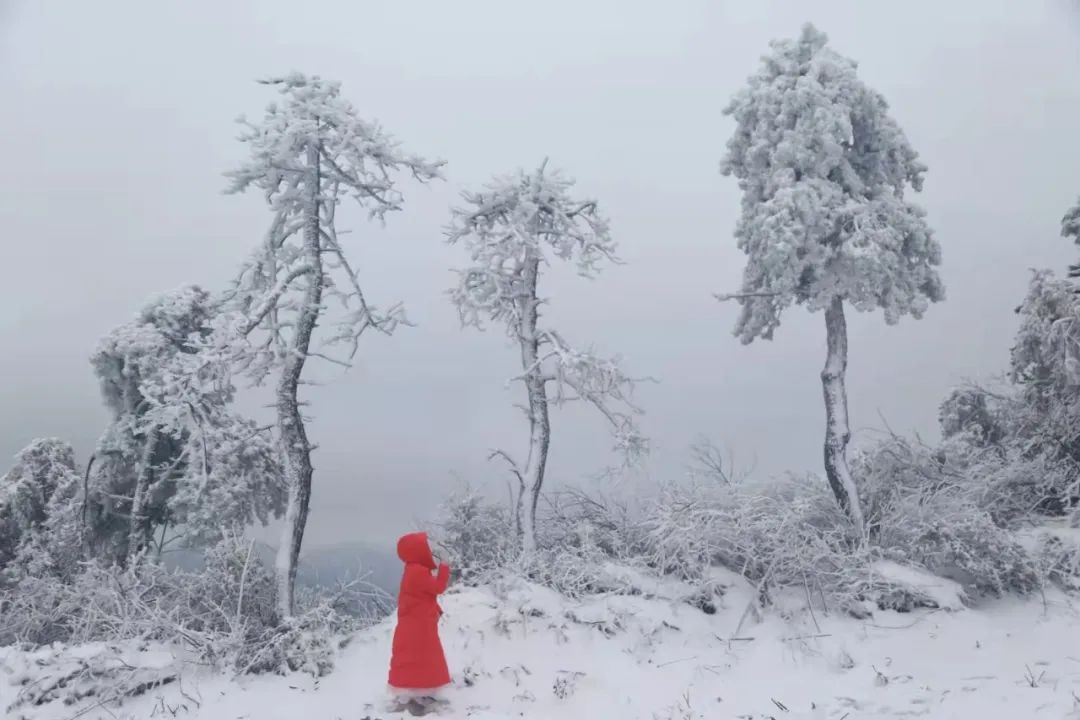 千古神话|千古神话! 天台的天姥山上冰雪等你一万年!