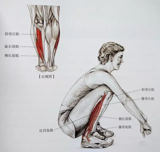 起跑式|居家运动，这套全方位小腿拉伸大法请收好