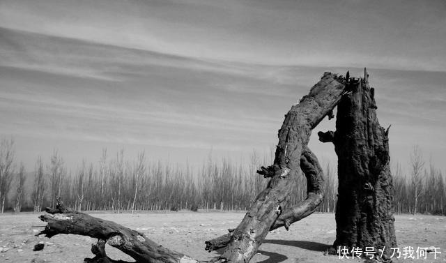 凝出|言叔夏《白马走过天亮》从人世的荒凉里,凝出透亮的诗来