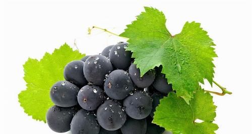 健脾|秋天适合养生,没事多吃的食物,健脾健胃、补肾养阴、补血美容