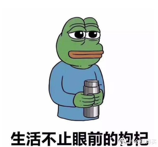 大宇养生壶-全家人抢着用的多功能热水壶