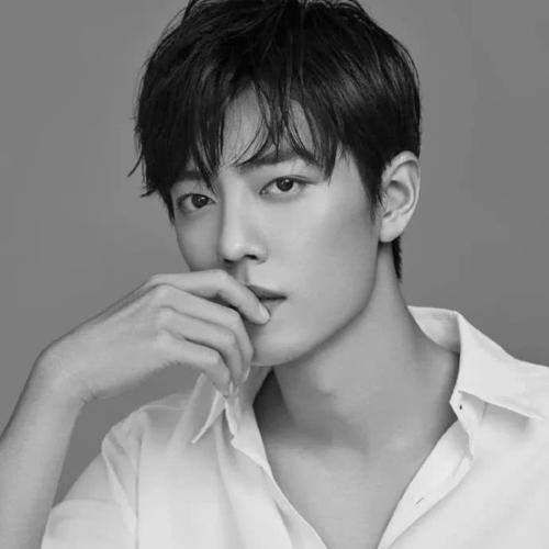 肖战迎“重要时刻”!告别伤痛为新旅程做准备?五年追梦令人敬仰