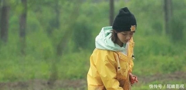 嘉宾 为什么《向往的生活》第五季最新两期都只有杨紫一个嘉宾?