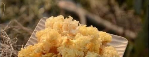 食物|便秘拉不出来太难受?试试多吃6种食物,润肠通便,排便变顺畅