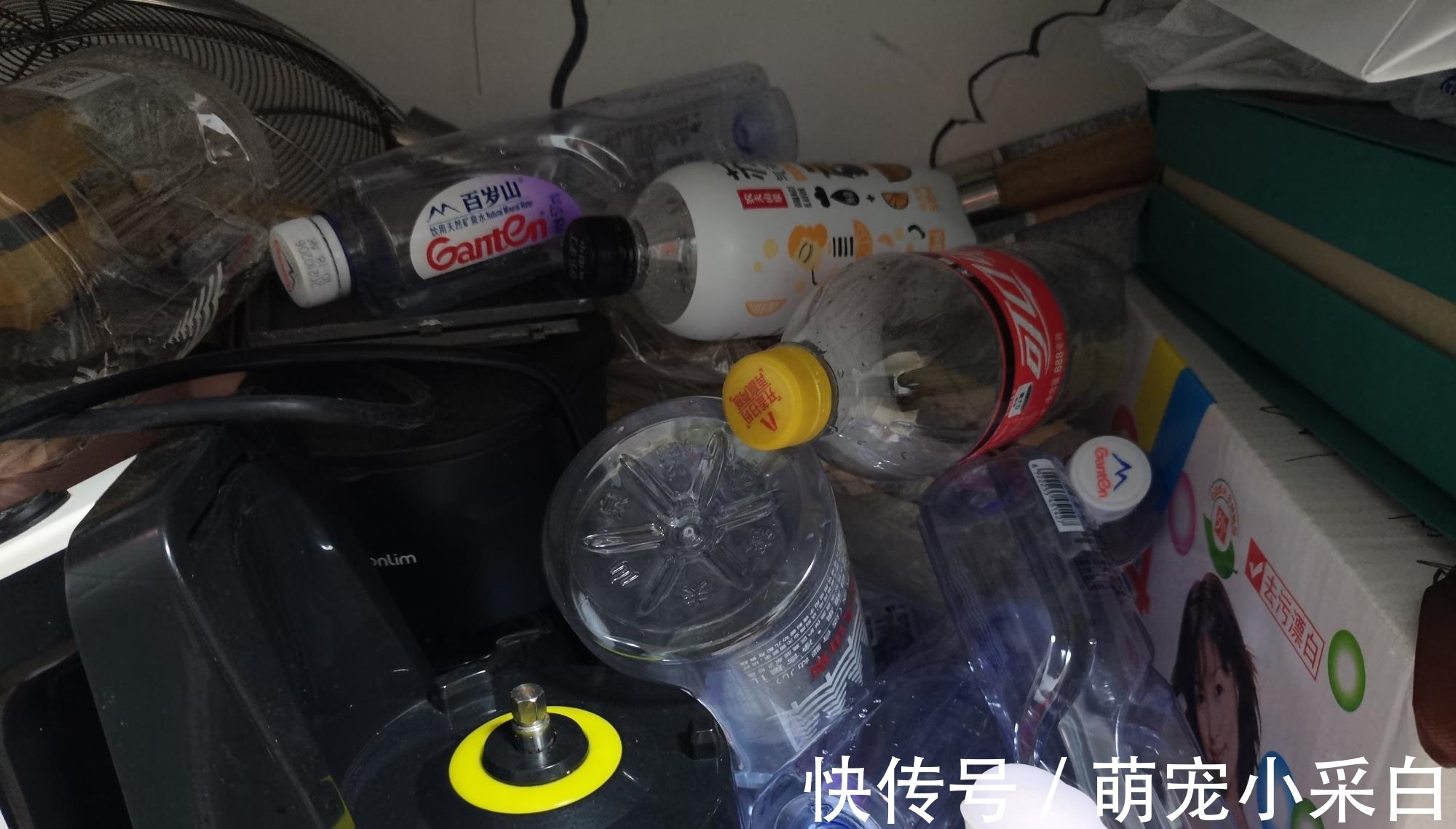 保鲜|大虾保鲜有诀窍：冷冻一年，解冻仍然是鲜活模样，百试百灵