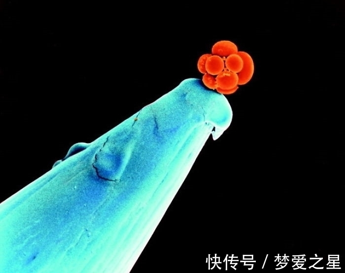 矿泉水瓶|25张罕见的照片,现代战舰的底部太科幻,好像动画片里的飞船