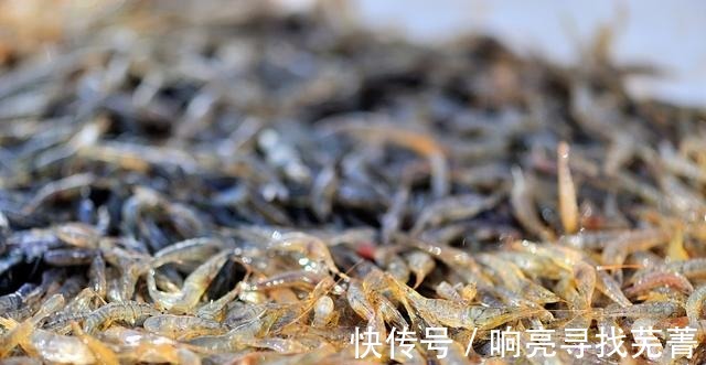 金秋逛农村大集,大葱白菜萝卜土豆热销,山货也很多!