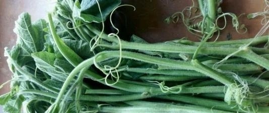 碰到这菜我从不手软,1次买3把,识货的人都抢着买,调经又养血