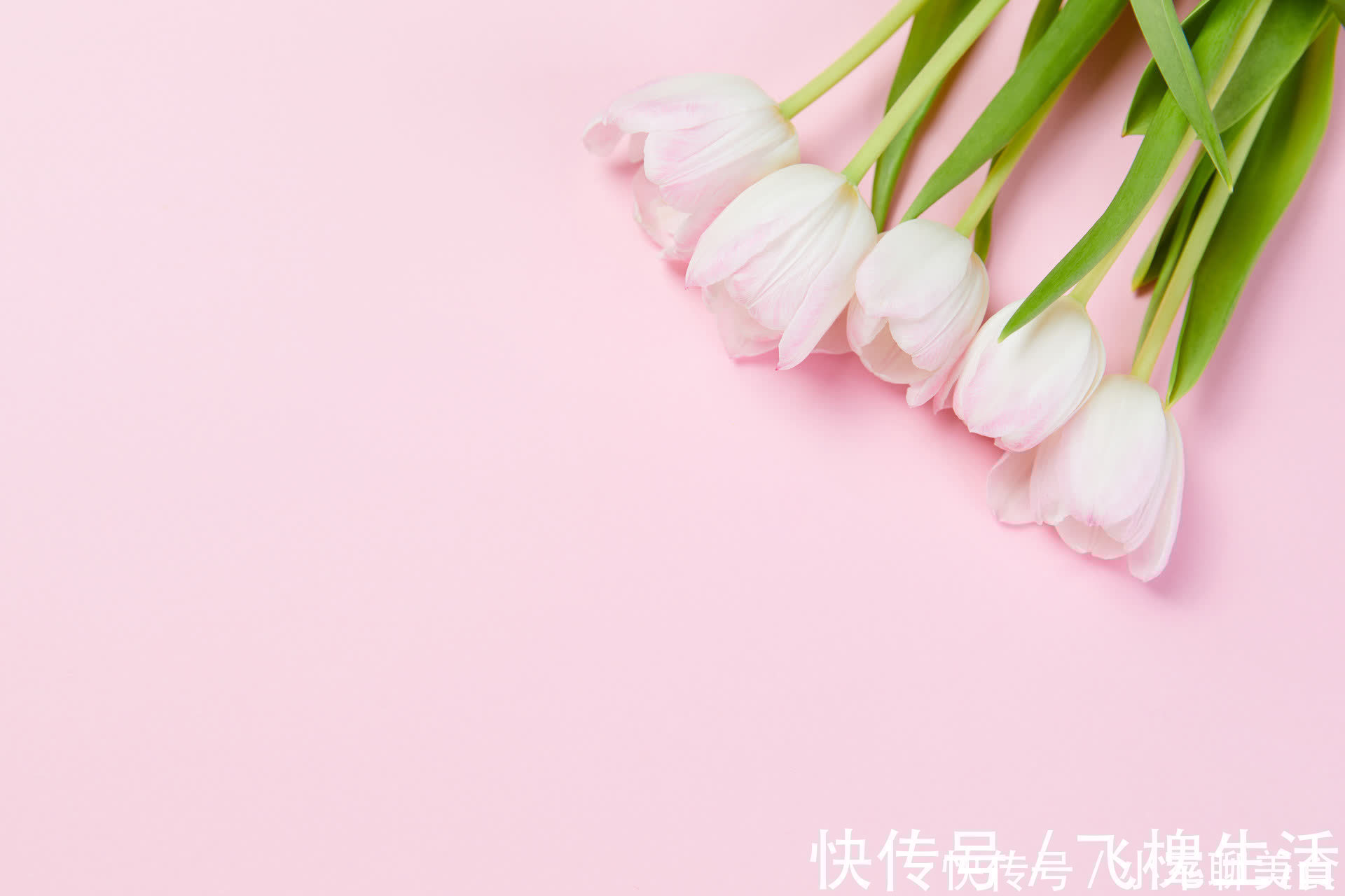 甜蜜蜜|夫妻生活中，“折腾”是一种聪明的经营方式