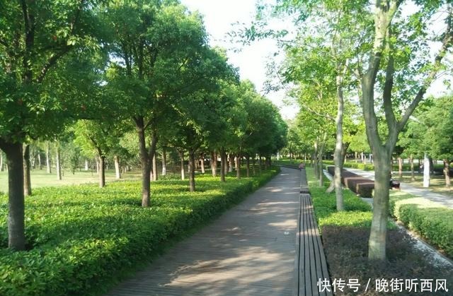 南京最美公园，号称“中国版纽约公园”，南京旅游超小众拍照圣地