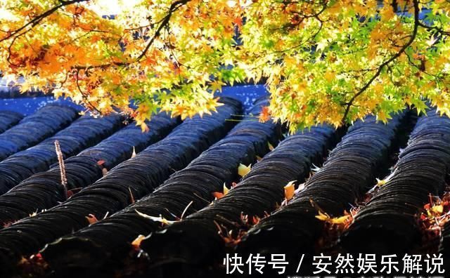 新官|杜牧新官上任写下一首唐诗，开头“潇洒”2字，挡不住内心的矛盾