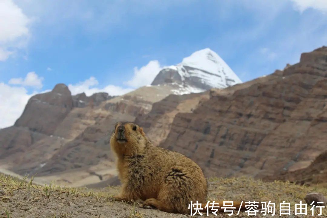 冈仁波齐转山，需要做哪些准备？|攻略 | 转山