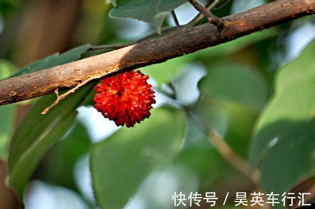 立秋过后怎么钓鱼?想要钓得好,秋季钓鱼要注意这几点