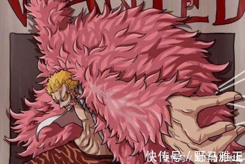 网网|海贼王最早觉醒的超人系果实,因为给明哥让路被雪藏了!