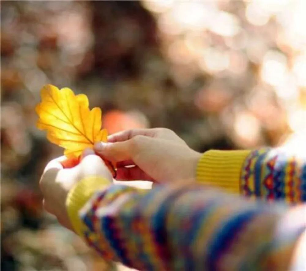 天涯!指尖微凉的记忆,如你留下爱的种子