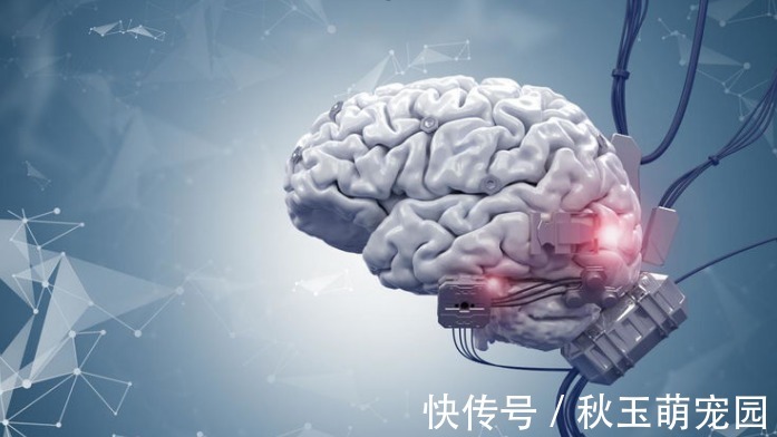 可能性|最新老年痴呆测试：超神奇的2张图，看出你患上老年痴呆的可能性