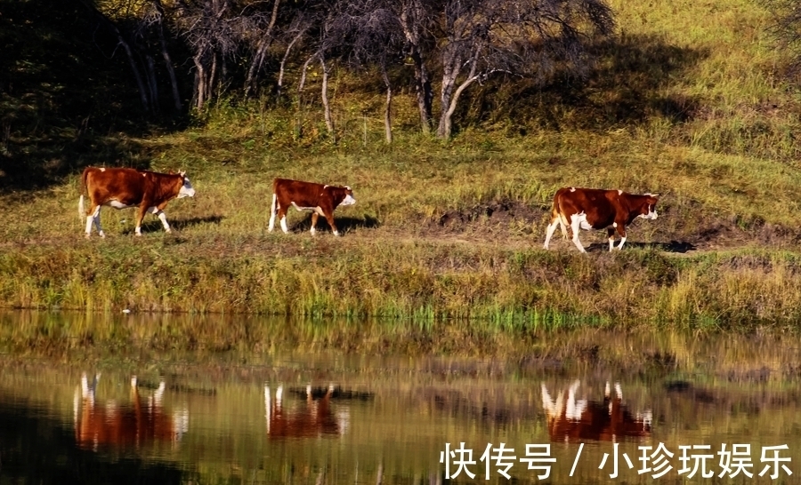 湖水|乌兰布统草原上的明珠，赤峰克什克腾公主湖，美得让人心动！