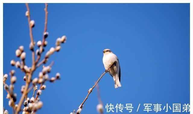 春天#描写春天比喻的句子,收藏起来给孩子写作文参考