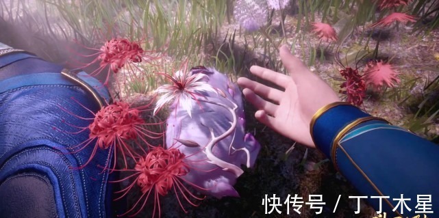 柔骨兔|斗罗大陆小舞献祭后,谁注意到唐三的双眼呈现不同的画面