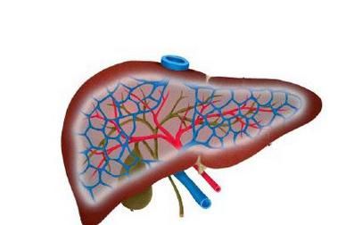 经常洗内脏,气血才两旺!老中医清洁处方,洗一洗,五脏都健康!
