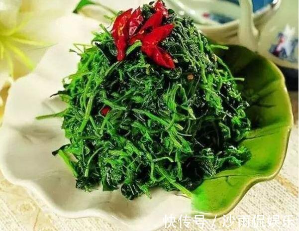 春天里|被忽视的高级野味,其貌不扬却营养丰富,如今很抢手一斤15元