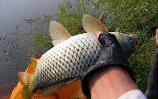 垂钓|再三提醒这3个钓点老钓友从来不去,逢钓必空军,莫忽视哦