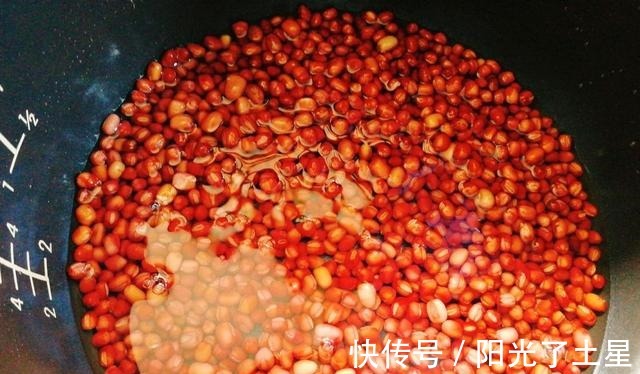 懒人红豆沙,一个电饭煲就能搞定,软糯清甜,没有添加更健康!