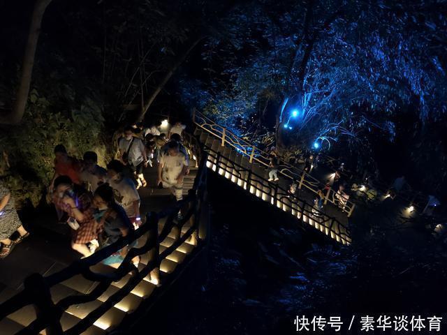 夜色|两个亿打造的德天瀑布夜景秀，场景壮观，却被越南人民免费蹭